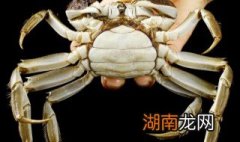 河蟹怎么做好吃又简单蒸几分钟 河蟹怎样蒸出来最好吃