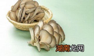 素炒平菇怎么做好吃 素炒平菇的做法