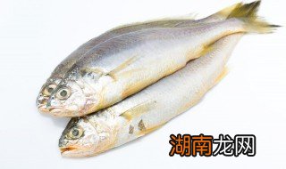 鱼怎么做又嫩又好吃 嫩鱼怎么做好吃又嫩