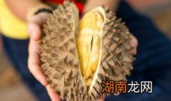 鸭炖榴莲有什么营养 榴莲煲鸭汤营养价值