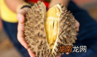 榴莲子可以煲汤吗 榴莲子可不可以炖汤