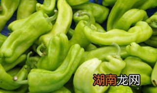 肉末虎皮青椒怎么做好吃又简单 虎皮青椒的做法肉末