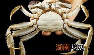 蒸螃蟹蘸料怎么做好吃 蒸螃蟹蘸料怎么做