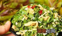 香椿炒蛋做法视频 香椿炒蛋做法