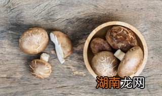 炒香菇怎么做好吃又嫩 炒香菇怎么做才好吃