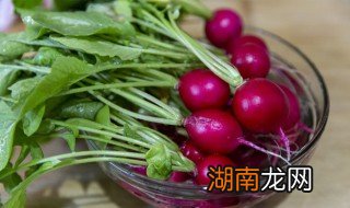 湖北的红色萝卜腌制方法 湖北的红色萝卜腌制方法是什么