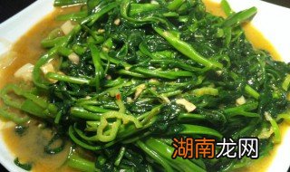 尖椒空心菜怎么做好吃 尖椒空心菜怎么做