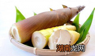 新鲜竹笋的吃法 新鲜竹笋的吃法和做法大全窍门