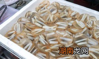 土笋冻的原材料 土笋冻土笋冻相关资料介绍