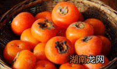 寒露水果美食大全推荐 寒露水果美食大全推荐一下