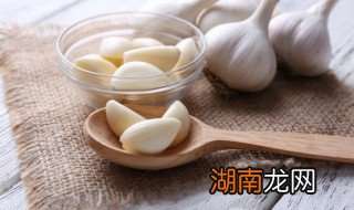 冬天保存大蒜的好方法有哪些 冬天保存大蒜的好方法