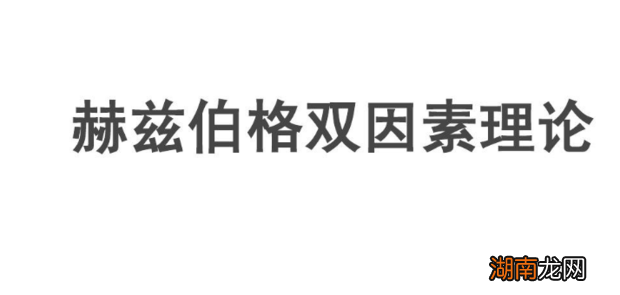 双因素理论怎么在人力资源管理中运用