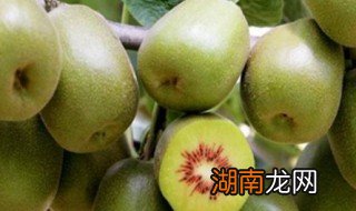 七月份猕猴桃熟了吗 七月份猕猴桃熟不熟