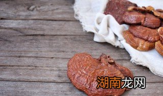 灵芝怎么吃法 灵芝吃法有什么