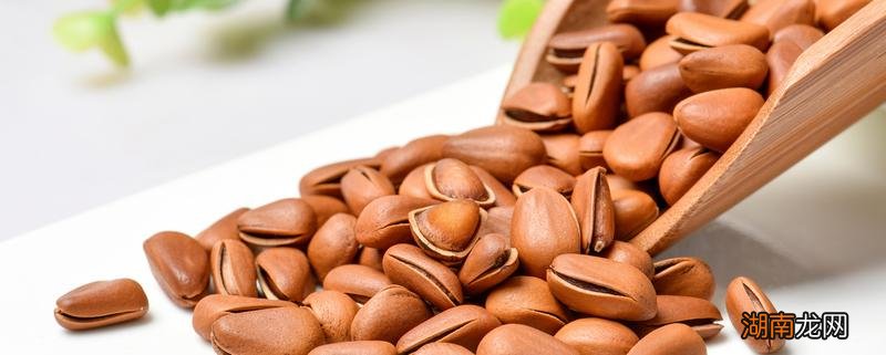 生松子和熟松子有什么区别 松子可以生吃吗