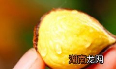 熟板栗怎么保存 存放栗子的2个妙招