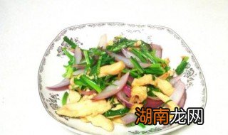 韭菜圆葱炒鸡胸肉的家常做法 韭菜圆葱炒鸡胸肉的家常做法窍门