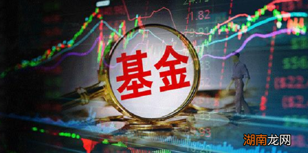 怎么选择基金？看以下几招就够了