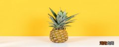 菠萝是硬的可以打开吃吗 菠萝怎么催熟好