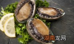 无锡鲍鱼的做法和配方 无锡鲍鱼的做法和配方大全