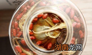 海马泡酒的功效 海马泡酒的方法
