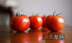 西红柿汁怎么榨好喝 西红柿汁怎么做