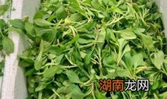 马兰头怎么烧好吃 马兰头怎么烧好吃图片