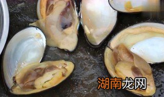 河蚌怎么洗才干净视频 河蚌怎么洗才干净