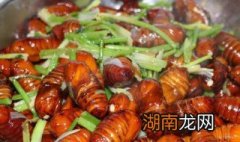 孕妇蚕蛹可以吃吗 蚕蛹可以吃吗