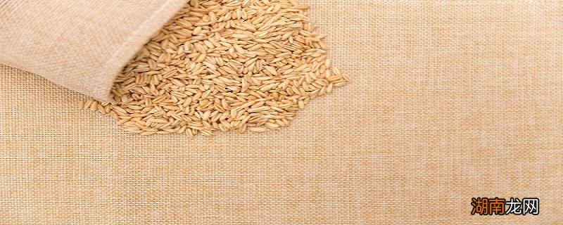 糙米放多少水 煮糙米饭的米水比例