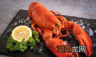 夏天活龙虾怎么保存 鲜活龙虾怎么保存