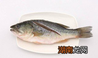 冻鲈鱼的制作方法 冷冻海鲈鱼的家常做法