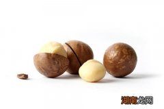 吃夏威夷果有什么好处 吃夏威夷果的好处