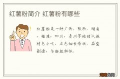 红薯粉简介 红薯粉有哪些