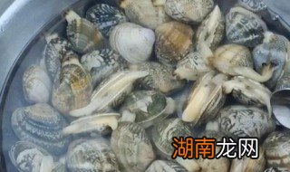 花蛤能放到第二天吗