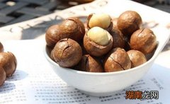 夏威夷果的营养价值