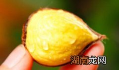 章鱼烧板栗怎么做 章鱼烧板栗怎么做好吃