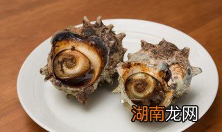 红螺是什么 红螺是什么科