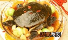 荆沙甲鱼 天刀荆沙甲鱼