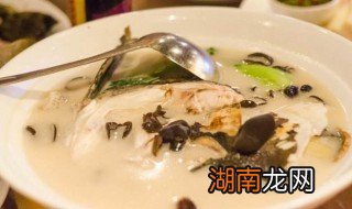 江鲢怎么做汤 鲢鱼汤的做法