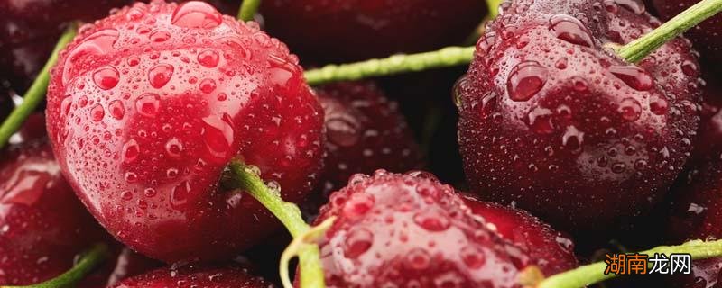 樱桃泡酒需要加冰糖吗 樱桃酒放冰糖还是白糖