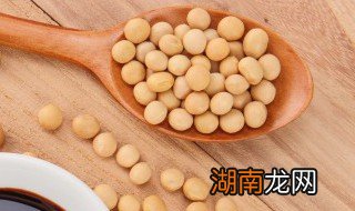 煨黄豆汤 炖黄豆汤