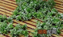 韭花酱腌制方法 自己做韭花酱的方法