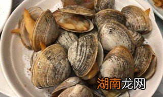 盐水煮毛蚶如何做 盐水煮毛蚶的做法