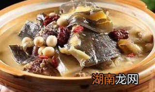 甲鱼炖鸽子方法 做甲鱼炖鸽子的窍门
