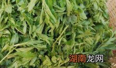 枸杞芽菜怎么做好吃 枸杞芽菜的做法