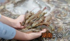 如何做河虾好吃又简单 河虾好吃又简单的做法