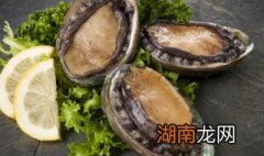 鲍鱼煮几分钟 鲍鱼煮8分钟即可对吗