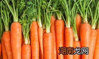 胡萝卜煮多久 煮胡萝卜要煮多久