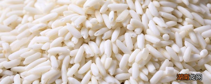 米饭和馒头哪个好消化 剩饭怎么保存